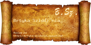 Brtyka Szidónia névjegykártya